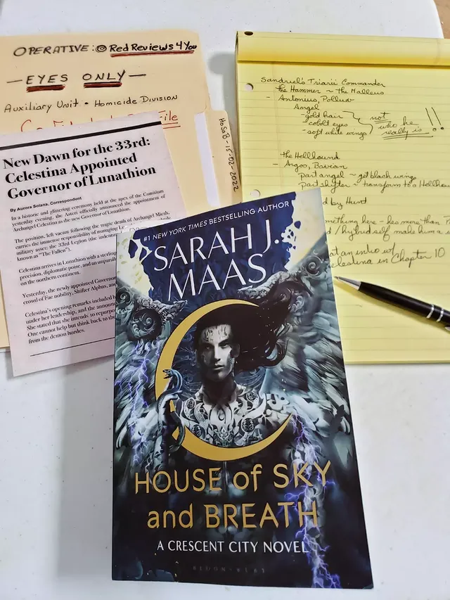 Instagram post by @redreviews4you for Tandem Talents. Caption reads: 📚 Currently Reading: House of Sky and Breath....