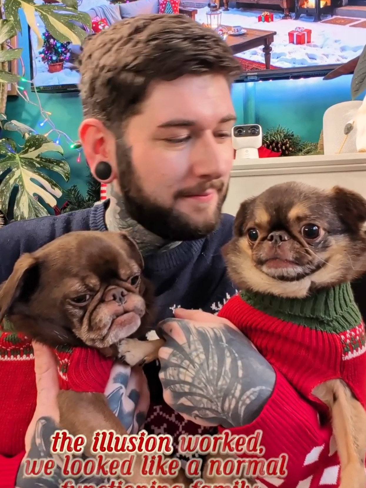 TikTok post by @kingchillithepug for BullyBillows. Caption reads: [...] ramp. 1% was the photo. 🎄 Thank you....