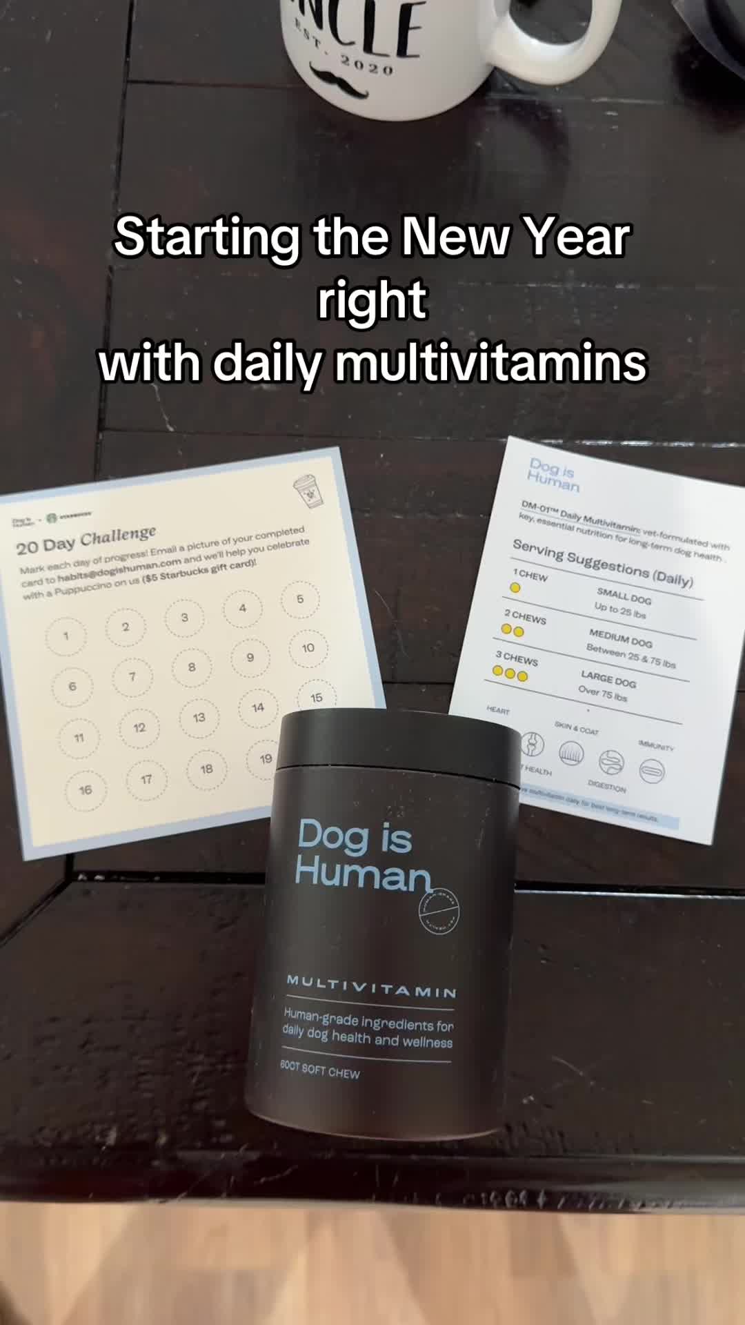 TikTok post by @finn.thegolden.boy for Dog is Human. Caption reads: [...] the year off on the right paw with @Dog is....