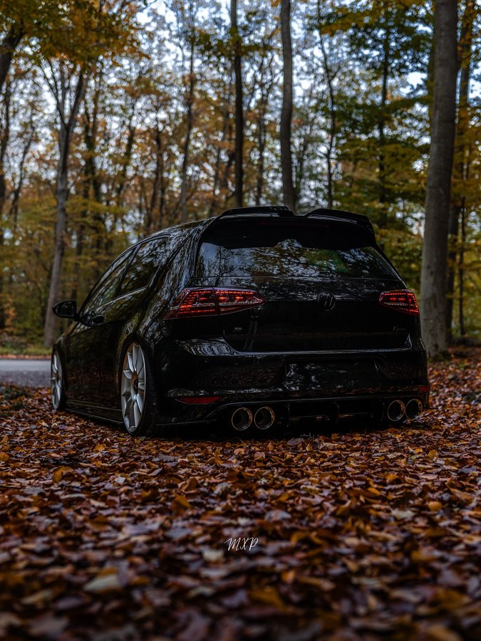 Instagram post by @vag_passion for VWB. Caption reads: • F O R E S T 🍃• The next beautiful photo from....