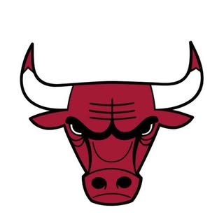 Chicago Bulls logo