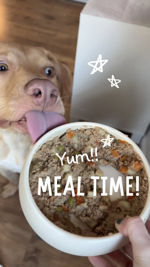 Instagram post by @adventuresofkady for Pawjourr. Caption reads: [...] friends 😋🐾 @yourpetskitchenpetfood....