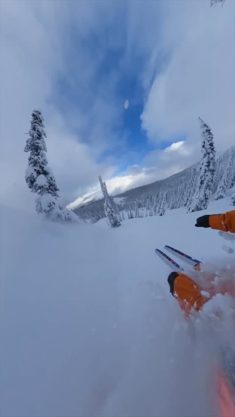 Instagram post by @snowwaterheli for Helly Hansen. Caption reads: [...] #treeskiing #powderskiing #hellyhansen....