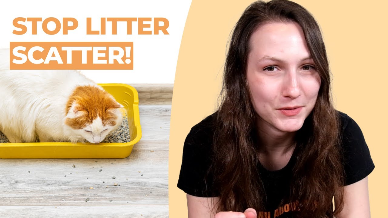 YouTube post by @AllAboutCatsYT for Tuftandpaw. Caption reads: Cat Litter Everywhere? How to Stop Litter Tracking....