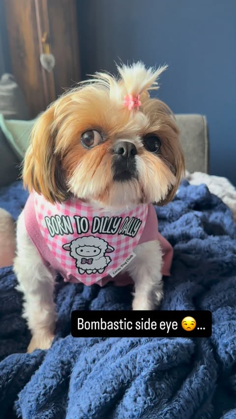 Instagram post by @fluffpuffcrew for Corny Dog Cloth. Caption reads: [...] with this girl.😒🩷🤣 . Bandana....