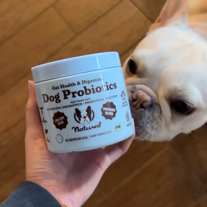 Instagram post by @shortforalessandra for Natural Dog Company. Caption reads: You know how much we love @naturaldogcompany’s....
