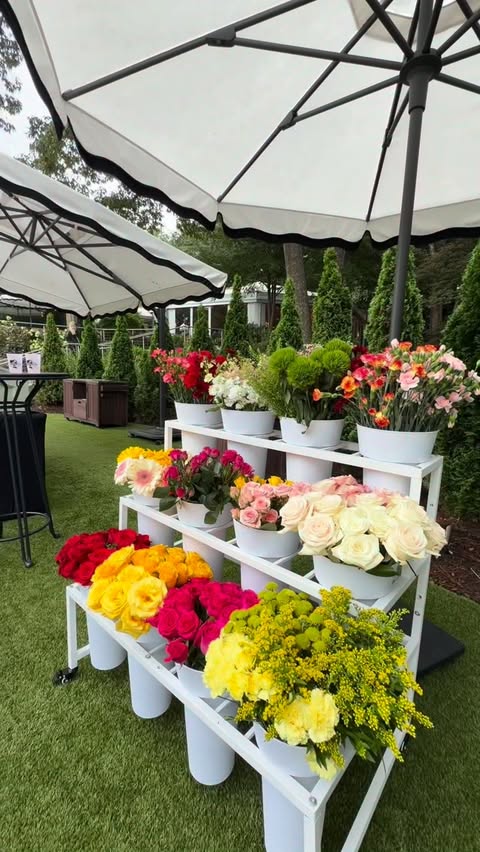 Instagram post by @themiaharden for Camille Rose. Caption reads: [...] look at what’s launching next month.....