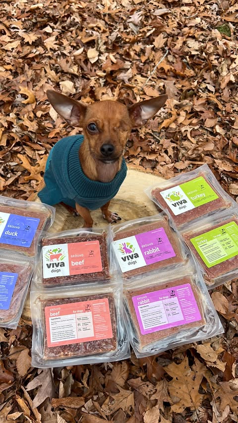 Instagram post by @unothechi for Viva Raw. Caption reads: Uno was gifted a box of @vivarawpets, which is a....