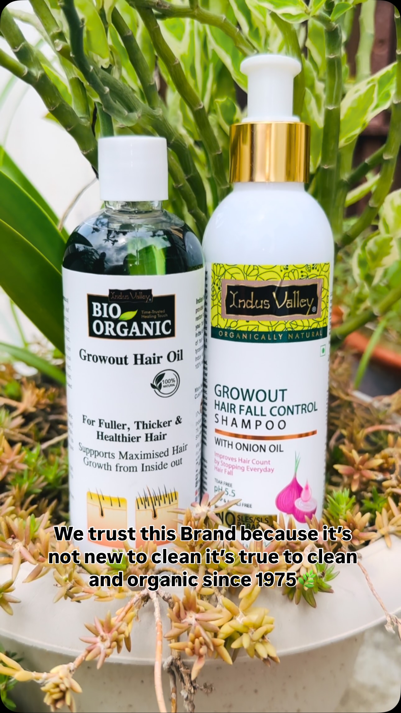 Instagram post by @kritisinghhh2713 for Indus Valley Organic Beauty. Caption reads: “Nourish your hair from roots to ends with Indus....