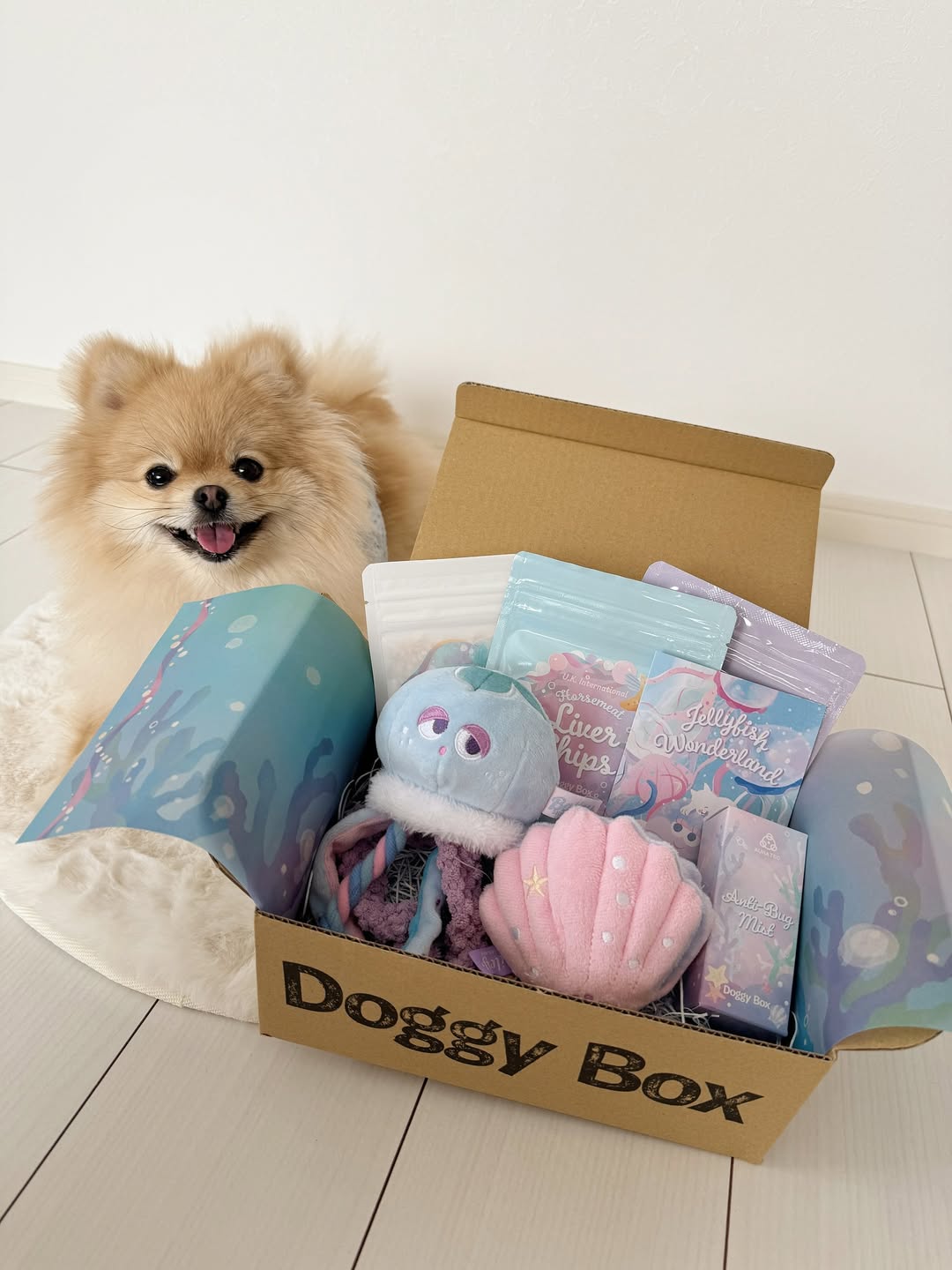 Instagram post by @chachamaru_0715 for Doggy Box. Caption reads: 🐾

Doggy Boxが届いたよ〜🎁🩷
（ @doggybox_jp....