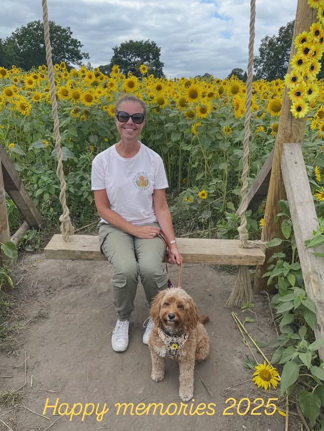 Instagram post by @doodling_with_mabel for Bailey and Coco. Caption reads: ✨✨Happy New Year 2026 ✨✨

So lovely to look back....