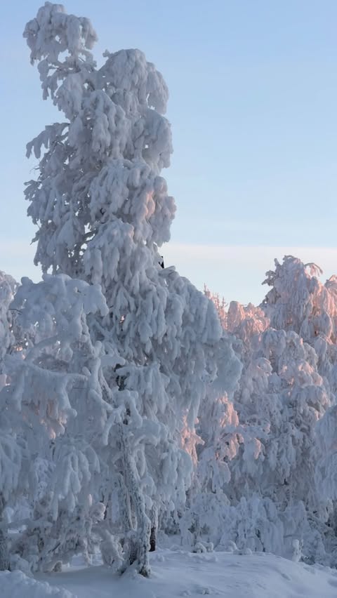 Instagram post by @hollyjai for Hello Molly. Caption reads: if it has a bow I’m sold🤭✨🖤
 @hellomolly adv.