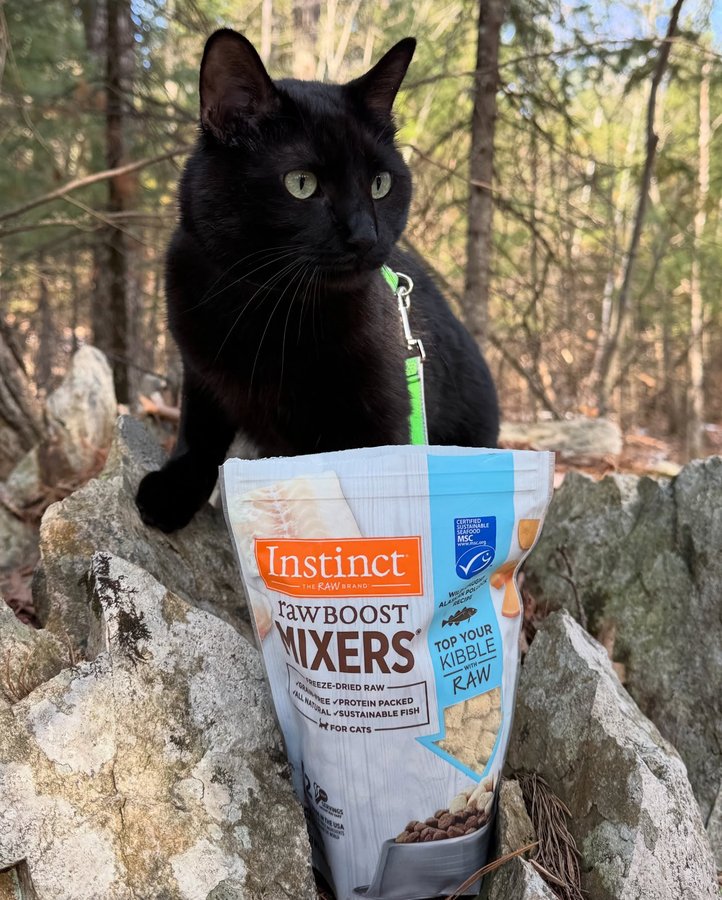 Instagram post by @blackcattrails for Instinct Pet Food. Caption reads: Happy Sunday Funday! 🐈‍⬛ There are so many ways a....