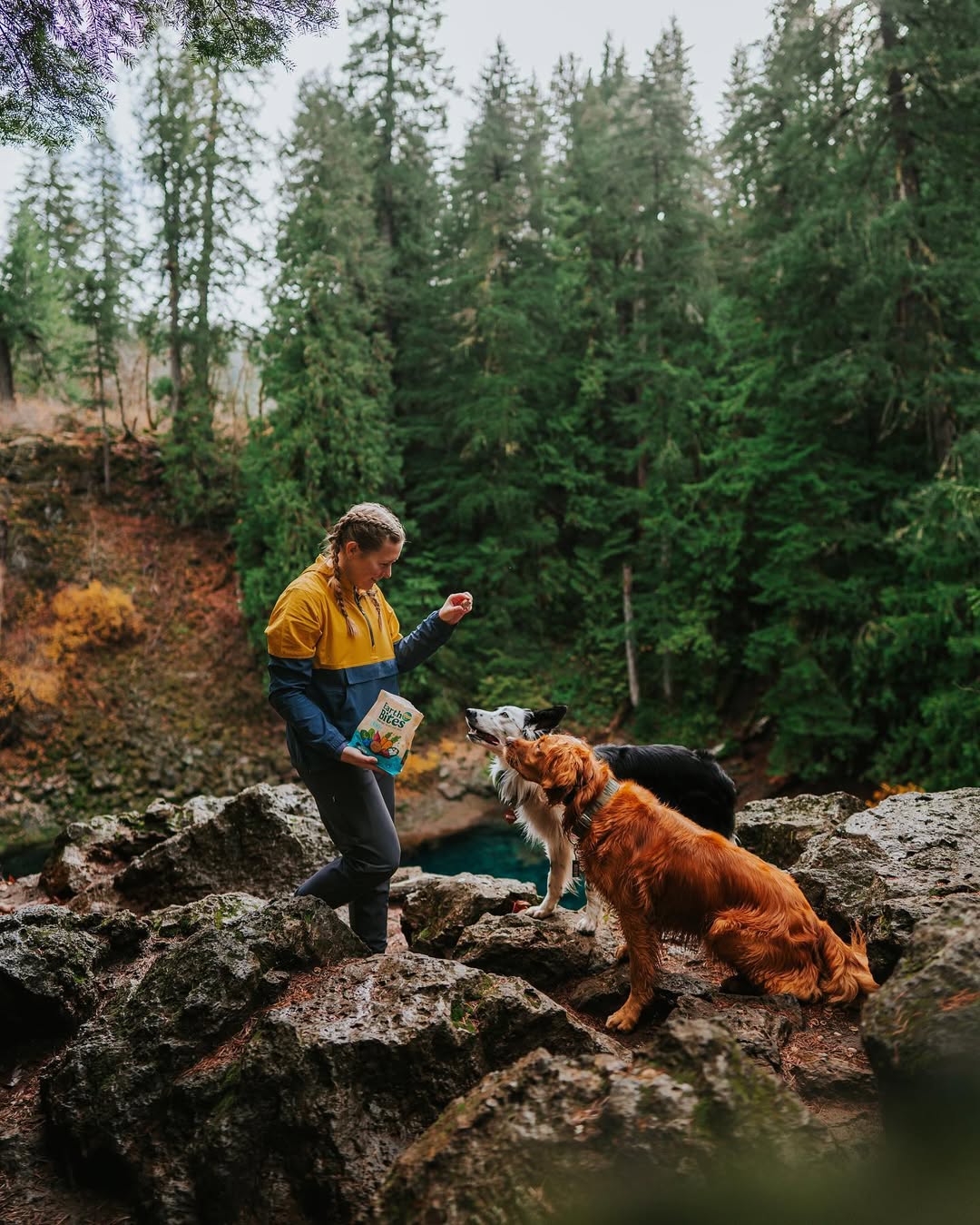 Instagram post by @wildwiththem for Earthborn Holistic Pet Food. Caption reads: if you give a dog an @earthbornholistic earth....