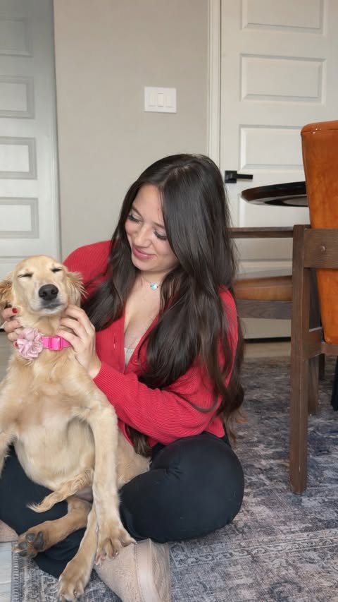Instagram post by @bristexastails for Hill's Pet Nutrition. Caption reads: #ad #HillsPartner Fostering a puppy looks a lot....
