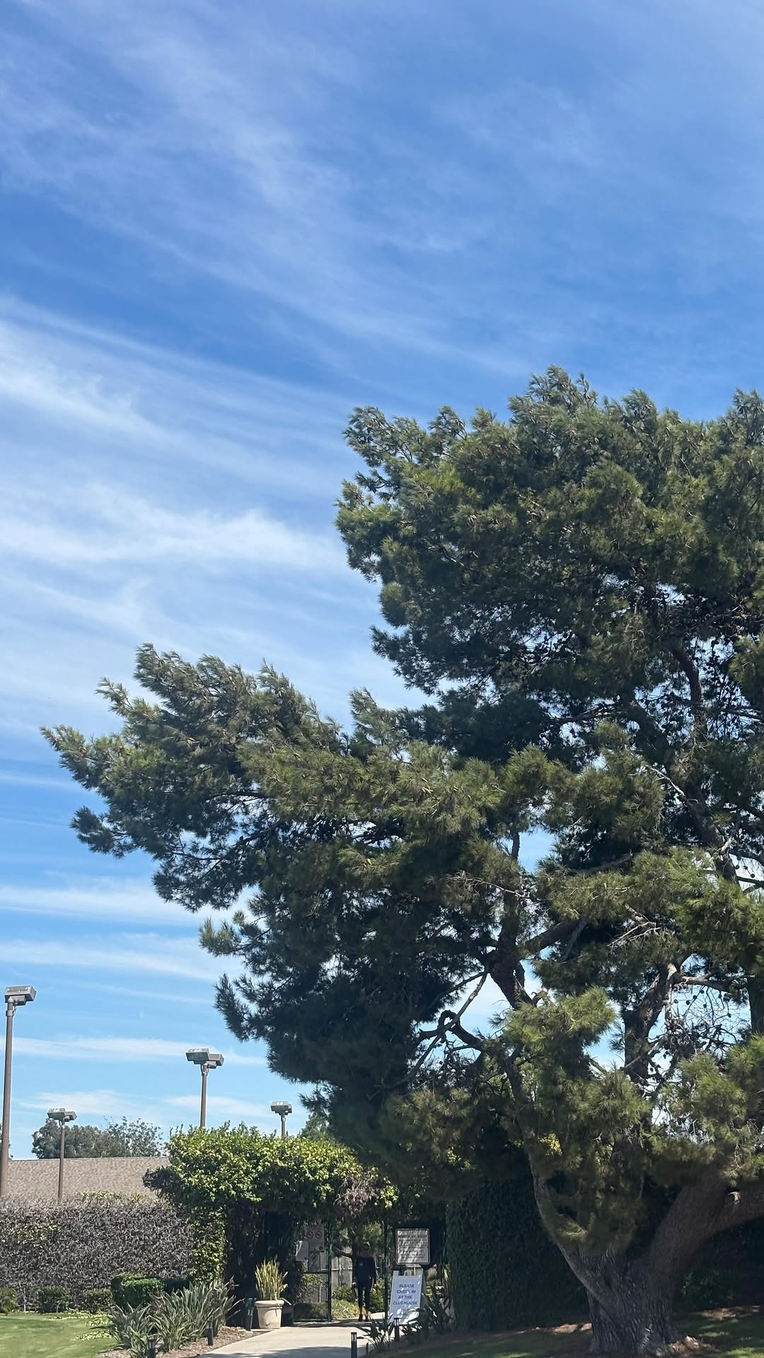 Instagram post by @danielleburnett__ for Beyond Yoga. Caption reads: being the biggest girl in the room is scary— but....