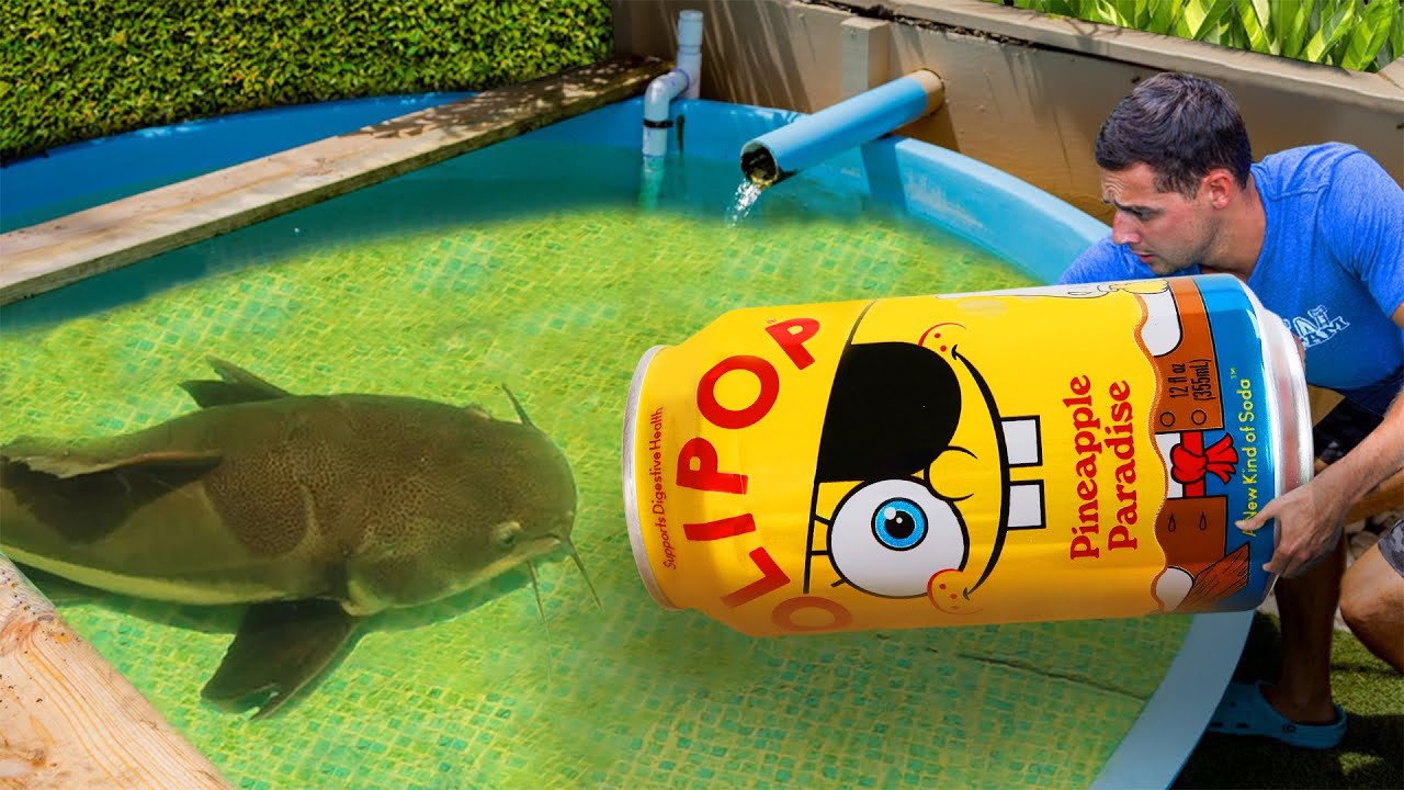 YouTube post by @RAWWFishing for OLIPOP. Caption reads: Check out the OLIPOP x SpongeBob Pineapple....