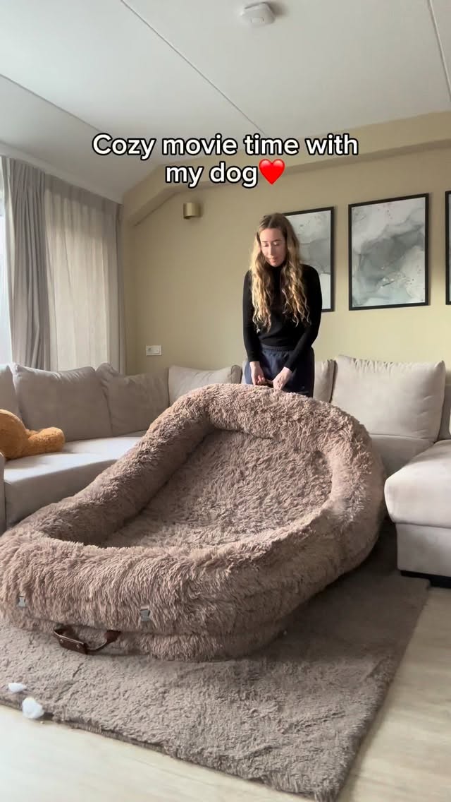 Instagram post by @dycederottweiler for Lesure Pet. Caption reads: I love those cozy days with the most fluffiest....