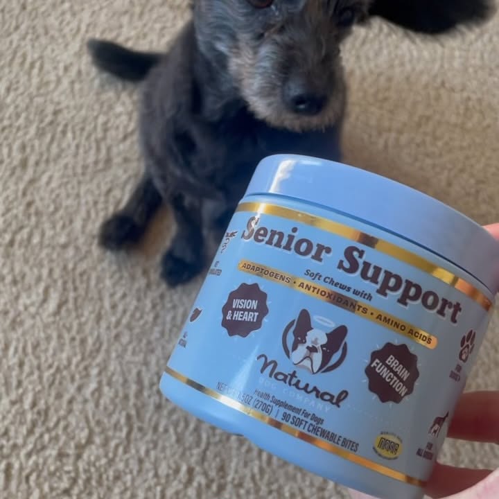 Instagram post by @kristinleighxo1 for Natural Dog Company. Caption reads: Supporting my dog through this golden years with....