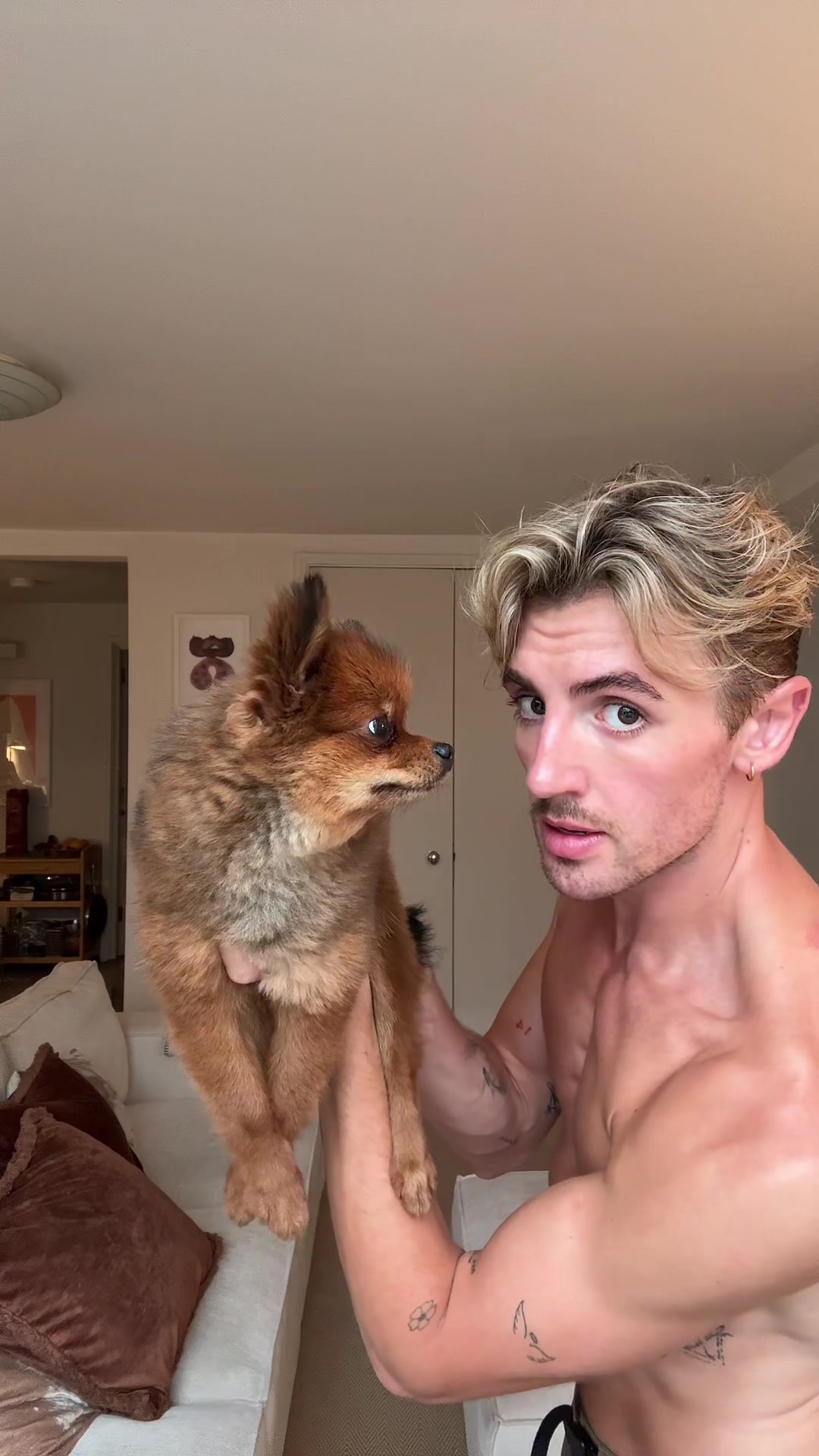 TikTok post by @jacobemile for Estée Lauder. Caption reads: My dog in her Vulpix era and my new favourite....