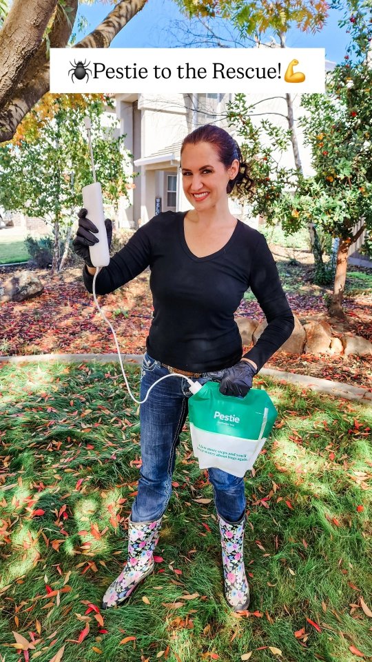 Instagram post by @theclassymamabear for Pestie. Caption reads: [...] hanging around!🕷️ Thank goodness for....