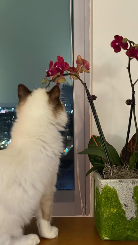 Instagram post by @_mollyfaye for 7-Eleven. Caption reads: [...] this eliteeeeee omg yall need to try!!....