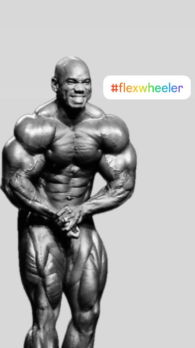Instagram post by @an_incomparable_beast for FLEX Magazine. Caption reads: PAID COLLABORATION ONLY IN 500 ₹ Flex Wheeler is....