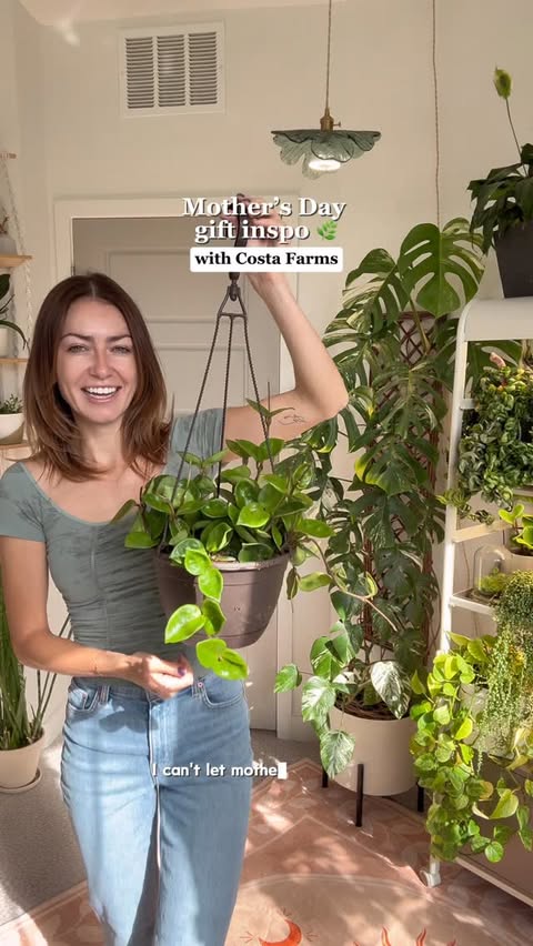 Instagram post by @mariahgrows for Costa Farms. Caption reads: [...] doesn’t know where to start 👇 These....