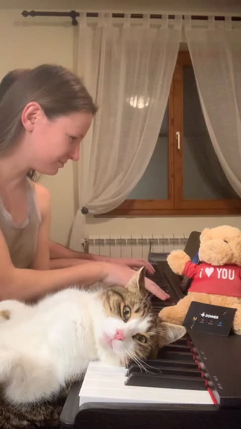 Instagram post by @pianists_mariana.dimcho for DonnerMusic. Caption reads: [...] - No doubt with curious Zlatko on....