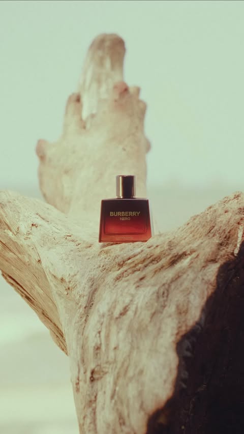 Instagram post by @one.dapper.fox for SSBeauty by Shoppers Stop. Caption reads: Locked in with the new Burberry Hero Elixir de....