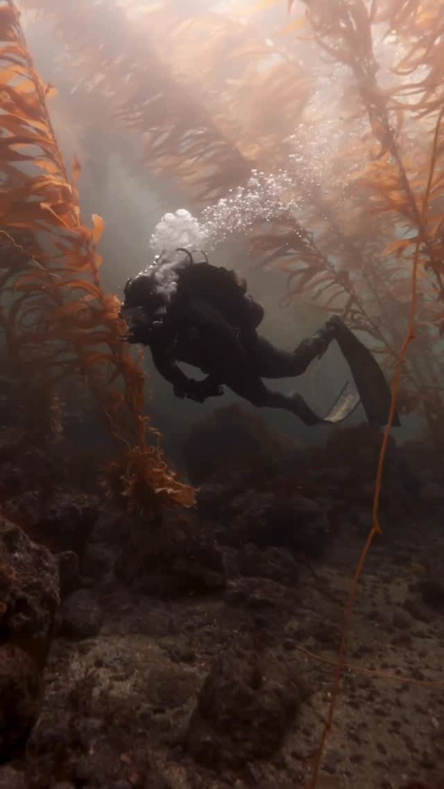 Instagram post by @forrest.galante for Leatherman. Caption reads: The perfect tool for any adventure....