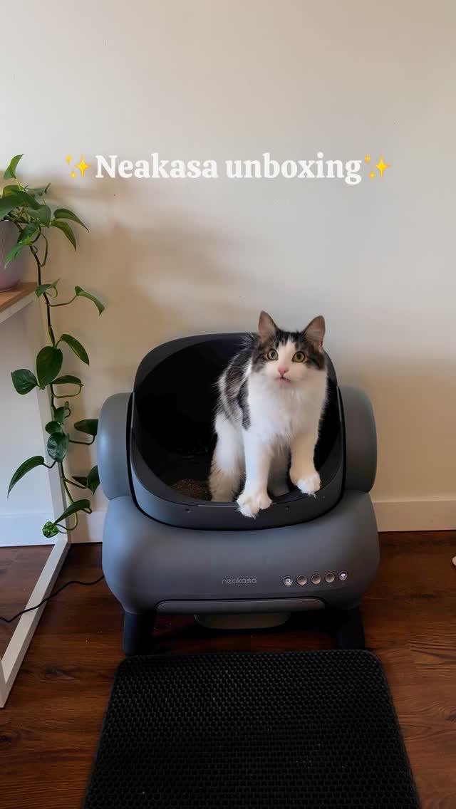 Instagram post by @crampcats for Neakasa. Caption reads: We’ve been using the Neakasa M1 self-cleaning....