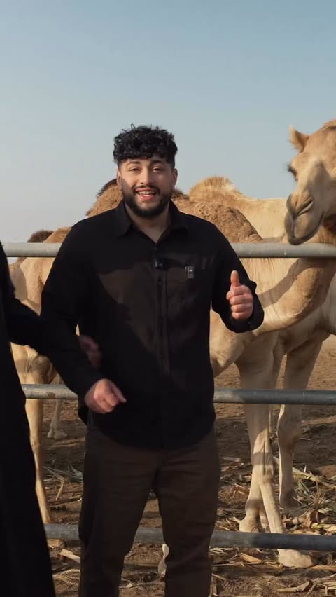 Instagram post by @thegoldenbalance for Visit Qatar. Caption reads: I Cooked An Entire Camel! 🐫🙆🏽‍♂️ @visitqatar....