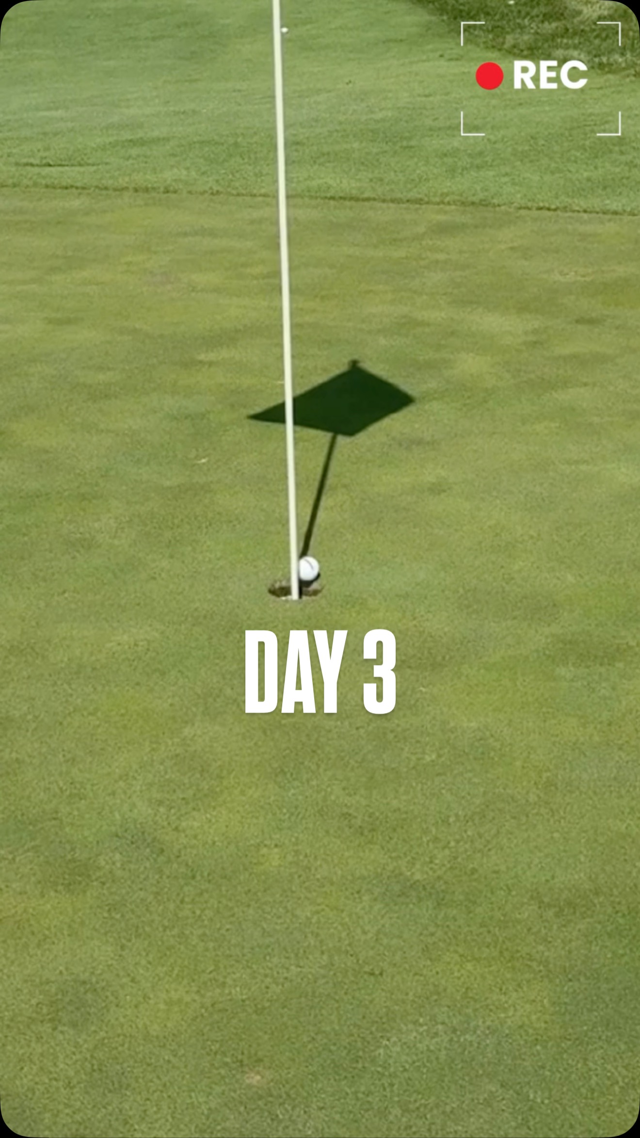 Instagram post by @carleeshoe for TaylorMade Golf. Caption reads: should I change up the order of the lies?? Maybe....