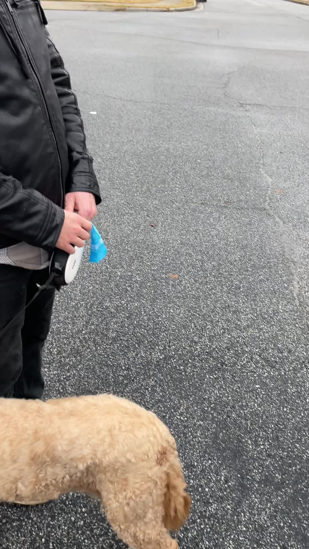 TikTok post by @sugarandsunshinemama for Ocoopa. Caption reads: [...] be the perfect stocking stuffer 🎄🧤😂....