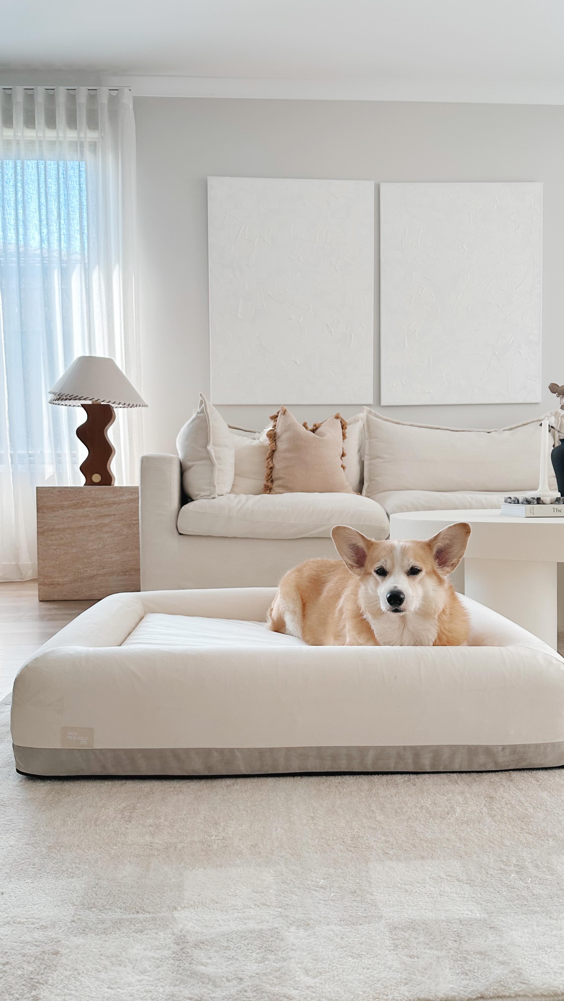 Instagram post by @ourviennaliving for Dog Friendly Co. Caption reads: A bed fit for a princess 🐶👑 Honestly one of my....