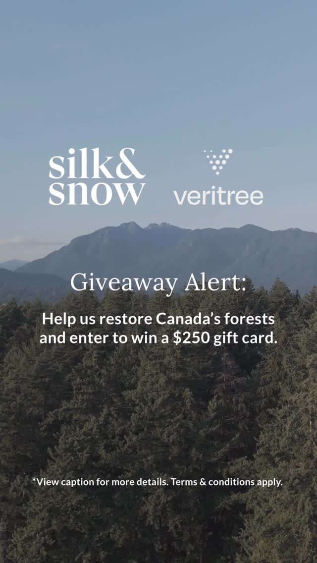 Instagram post by @veritreeofficial for Silk & Snow. Caption reads: [...] gives you the chance to win a $250 Silk &....