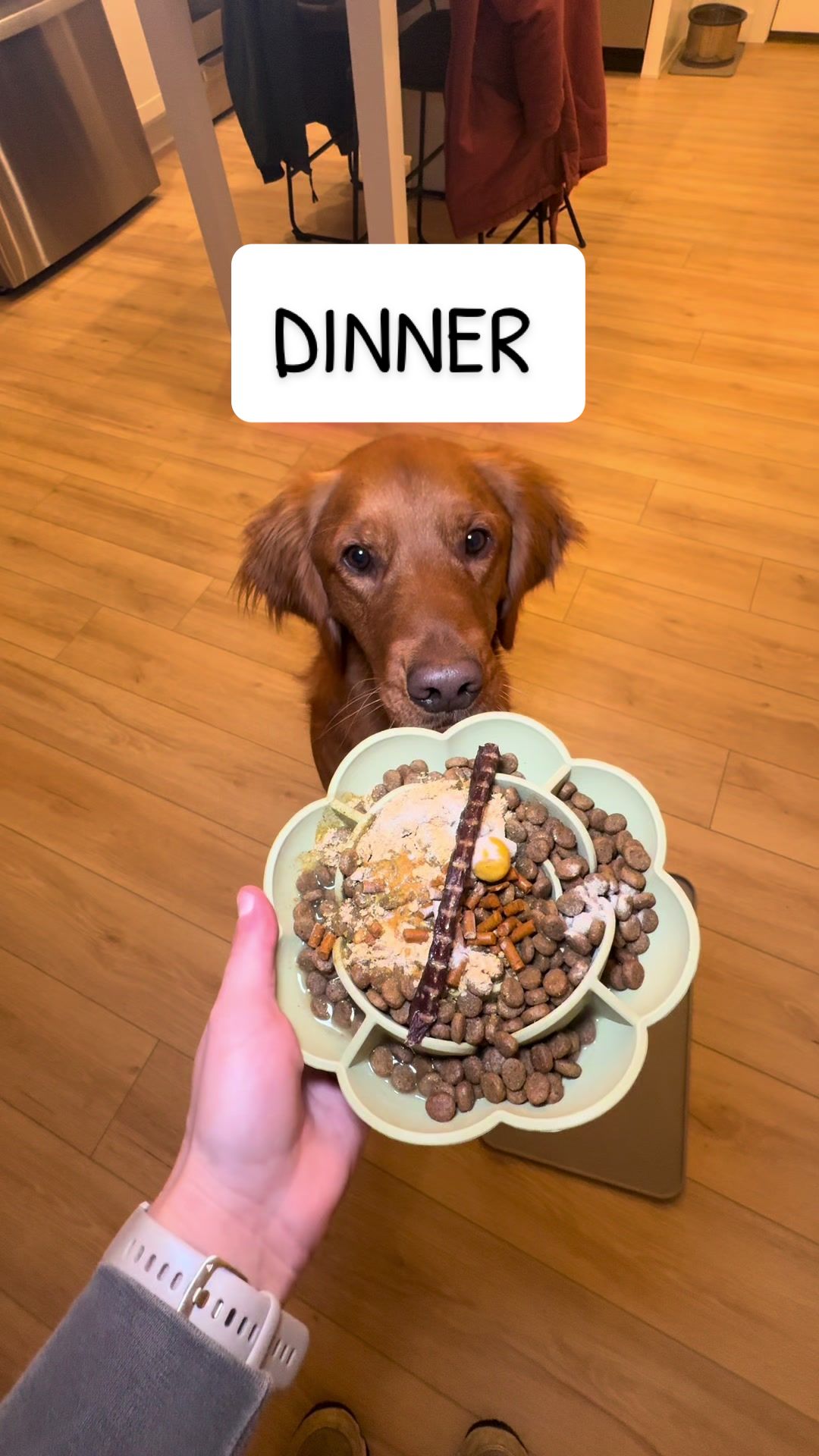 TikTok post by @tate_and_ellie for Vital Pet Life. Caption reads: [...] Farm Pet @Native Pet @Fifth & Fido @Vital....