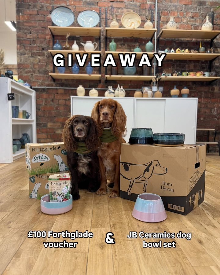Instagram post by @theedinburghspaniels for Forthglade. Caption reads: *** the giveaway is now CLOSED and the winner has....