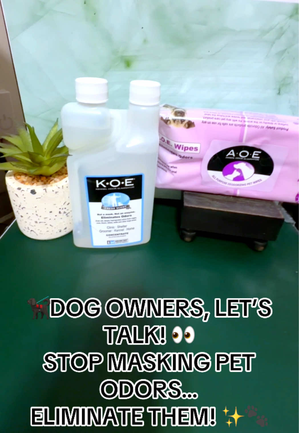 TikTok post by @garajohn for Odorcide. Caption reads: Meet @Odorcide K.O.E. Kennel Odor Eliminator! 🐾✨....