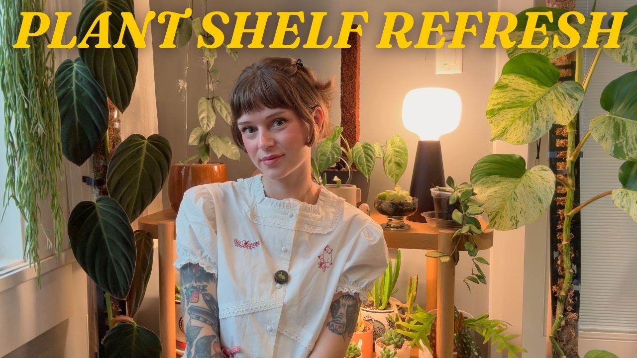 YouTube post by @wildfern for Soltech. Caption reads: styling my houseplants to create a cozy and....