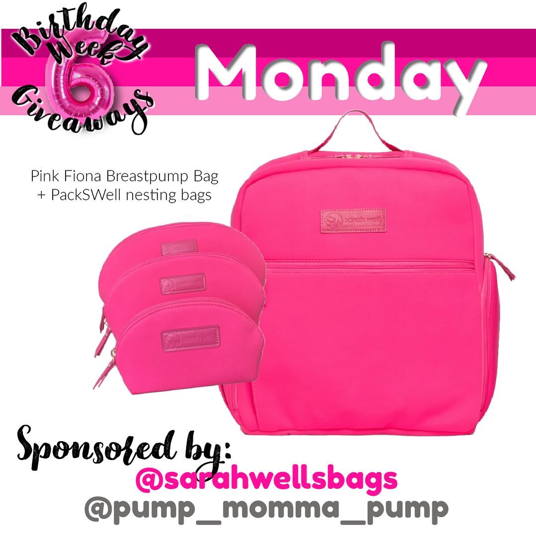 Instagram post by @pump_momma_pump for Sarah Wells Bags. Caption reads: [...] PackSWell accessory pouch set by Sarah Wells....