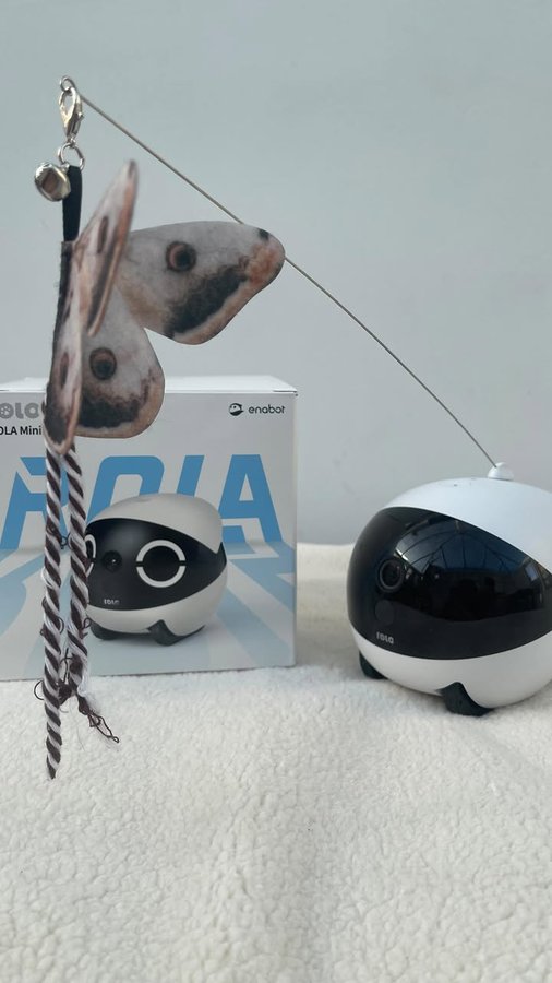 Instagram post by @mochi.bobax for Enabot. Caption reads: Play whilst you’re away! With @enabot_official....