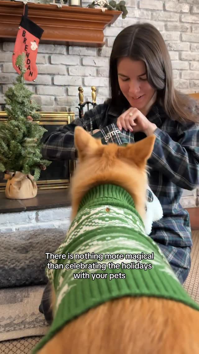 Instagram post by @simonsits for Chewy. Caption reads: There is no better way to spend the holidays than....