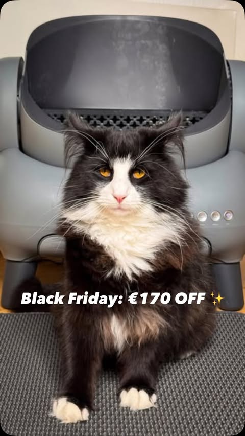 Instagram post by @blues_fleecircus for Neakasa. Caption reads: [...] a day 😹

So we upgraded — meet our new....