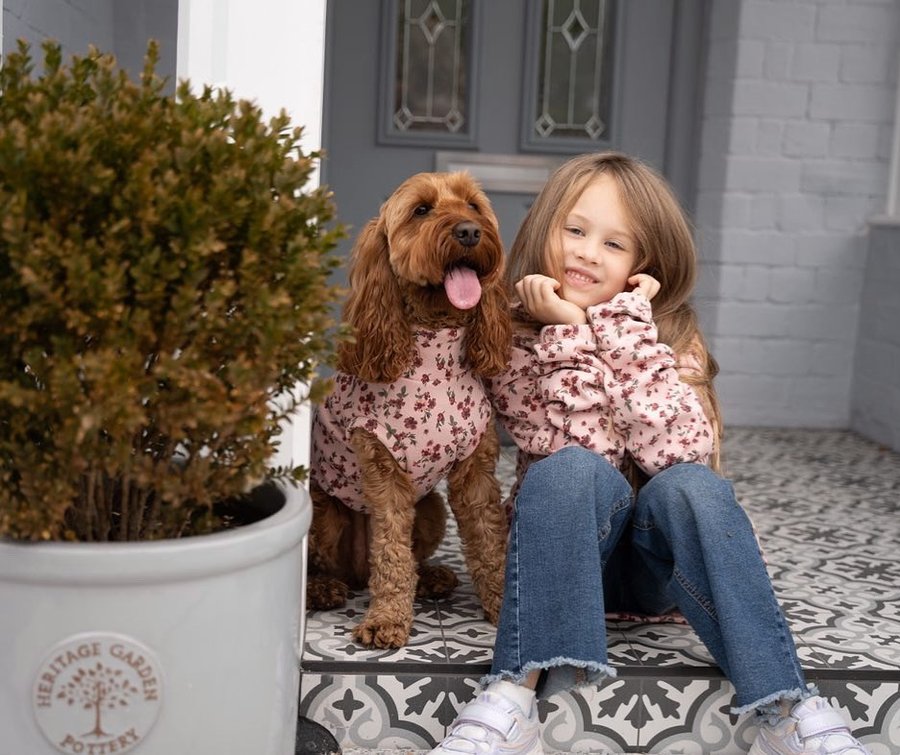 Instagram post by @rubyrooandpearltoo for Hugo and Ted. Caption reads: [...] 🥴 _______________ x _______________....