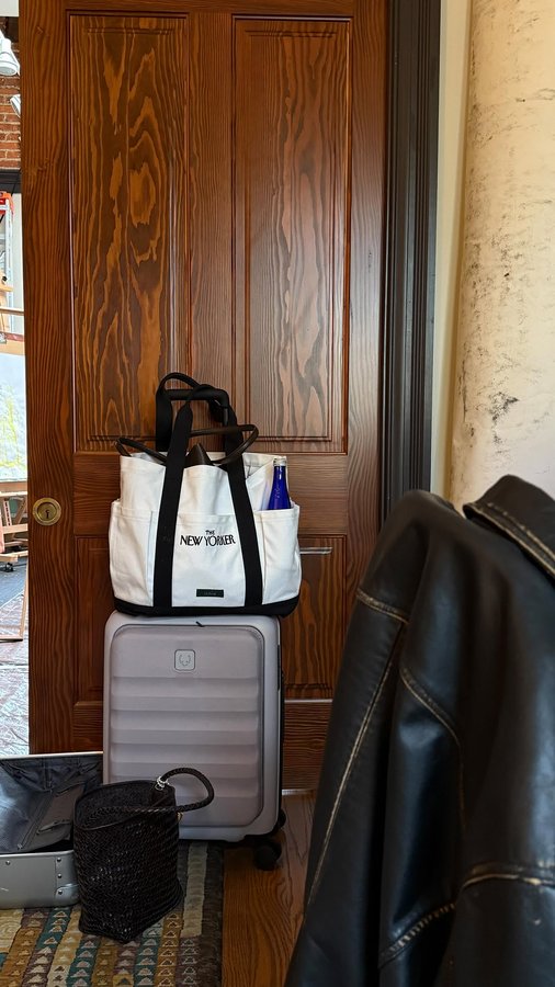 Instagram post by @mimixn for Antler. Caption reads: How I like to travel: @antlerofficial carry-on....