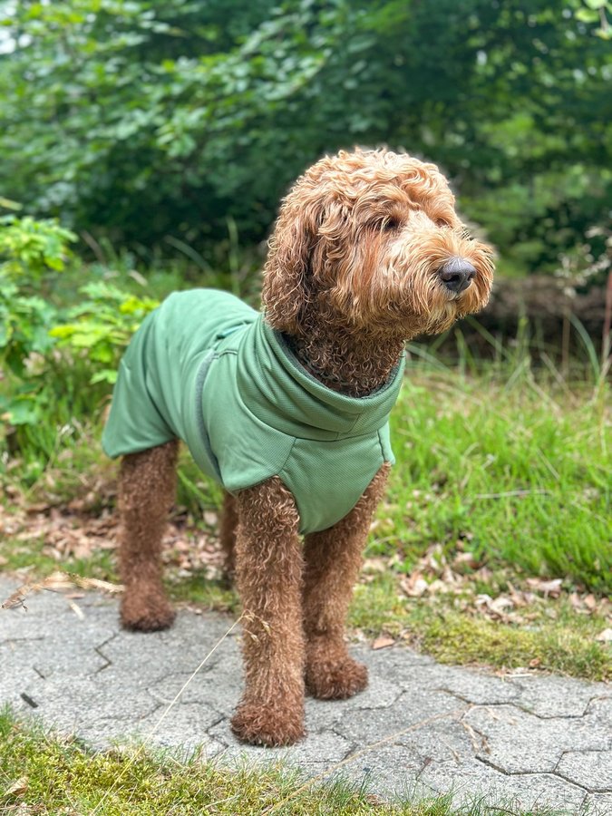 Instagram post by @goodboihermann for PAIKKA. Caption reads: [...] 😌🐾🌊🌲

𝘼𝙙 | Drying coat from....