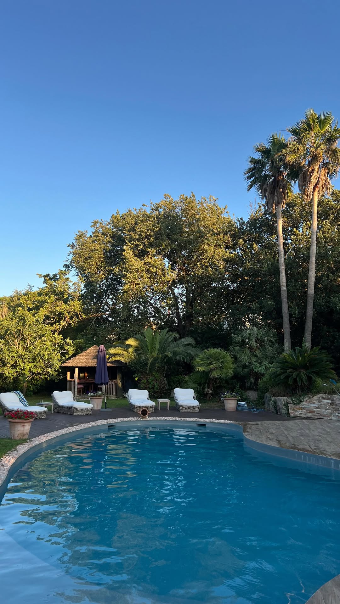 Instagram post by @rachaelkirkconnell for Culver's. Caption reads: #ad come get a sweet treat with me🧡
@culvers is....