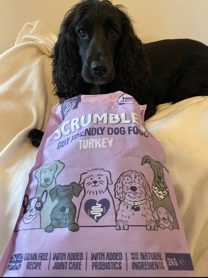 Instagram post by @cheekyspaniels_ for Scrumbles. Caption reads: Here is our nomination to apply for @scrumbles....